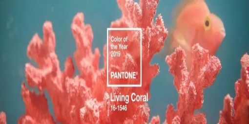 2019 年度流行色来了 —— 珊瑚橙Living Coral